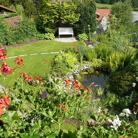 Appartement Arber Friedl *